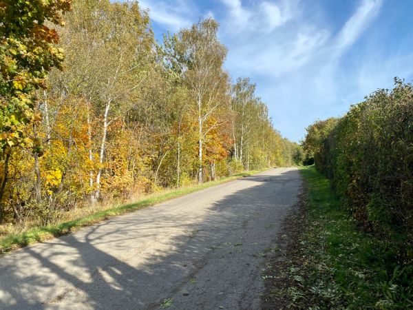 14 lutego rusza przebudowa ulicy Węglowej. Na czas robót przygotowany został objazd