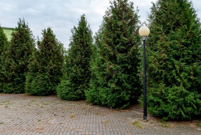 Kolejne oprawy oświetleniowe zostaną wymienione