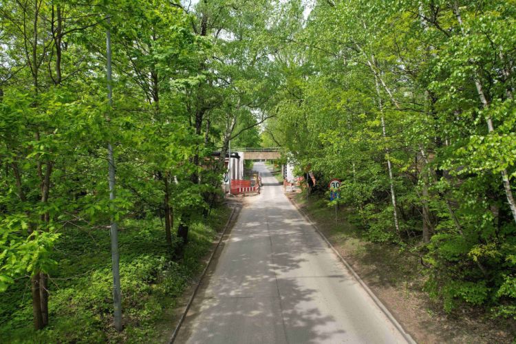 Ulica Dąbrowa Miejska