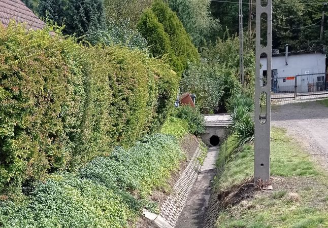 Jesienią opad liści z drzew i krzewów jest częstą przyczyną zapchania urządzeń odwadniających drogi publiczne na terenie Bytomia