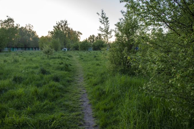 Umowa z wykonawcą Dżońcio Parku podpisana